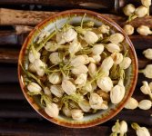 鮮茉莉花怎么炮制成茶？