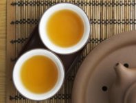 苦蕎茶與梔子花可以泡茶嗎？