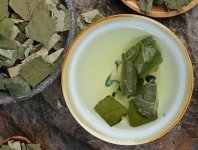 荷葉茶為什么叫短命茶？