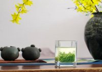 茶藝師證書(shū)含金量？