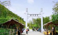 5月12日：徒步貢茶古道，天然氧吧，綠色之旅